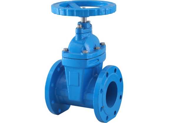 Dark Resilient Seated Gate Valve