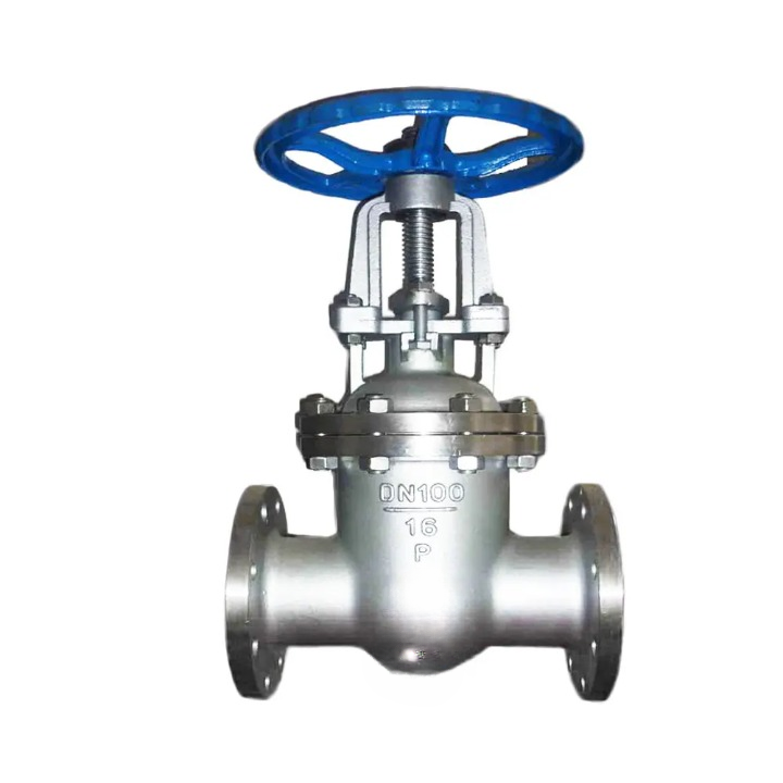 STAINLESS STEEL GATE VALVE